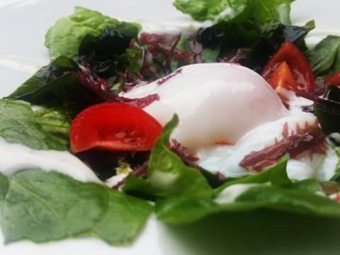 レタスのオリーブオイル炒め