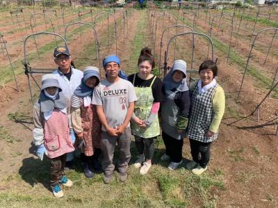 農業生産法人 中根子さん